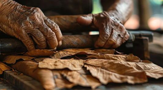 manos de fabricante de puros torciendo hojas de tabaco